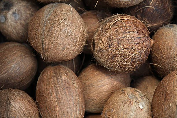 The Matel International - WhatsApp Image 2025-09-29 at 10.23.58 AM